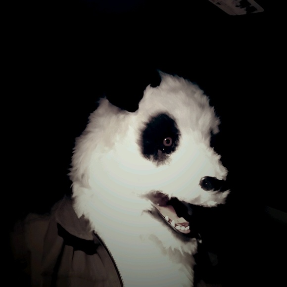 Meet your Posher, Tsering - Picture 1 of 1